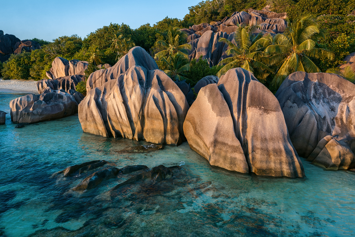 Seychelles Offshore Financial Services AAA Management